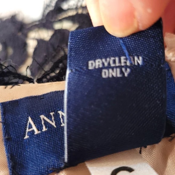 Ann Taylor Strapless Lace Bodice Dress - Picture 8 of 8